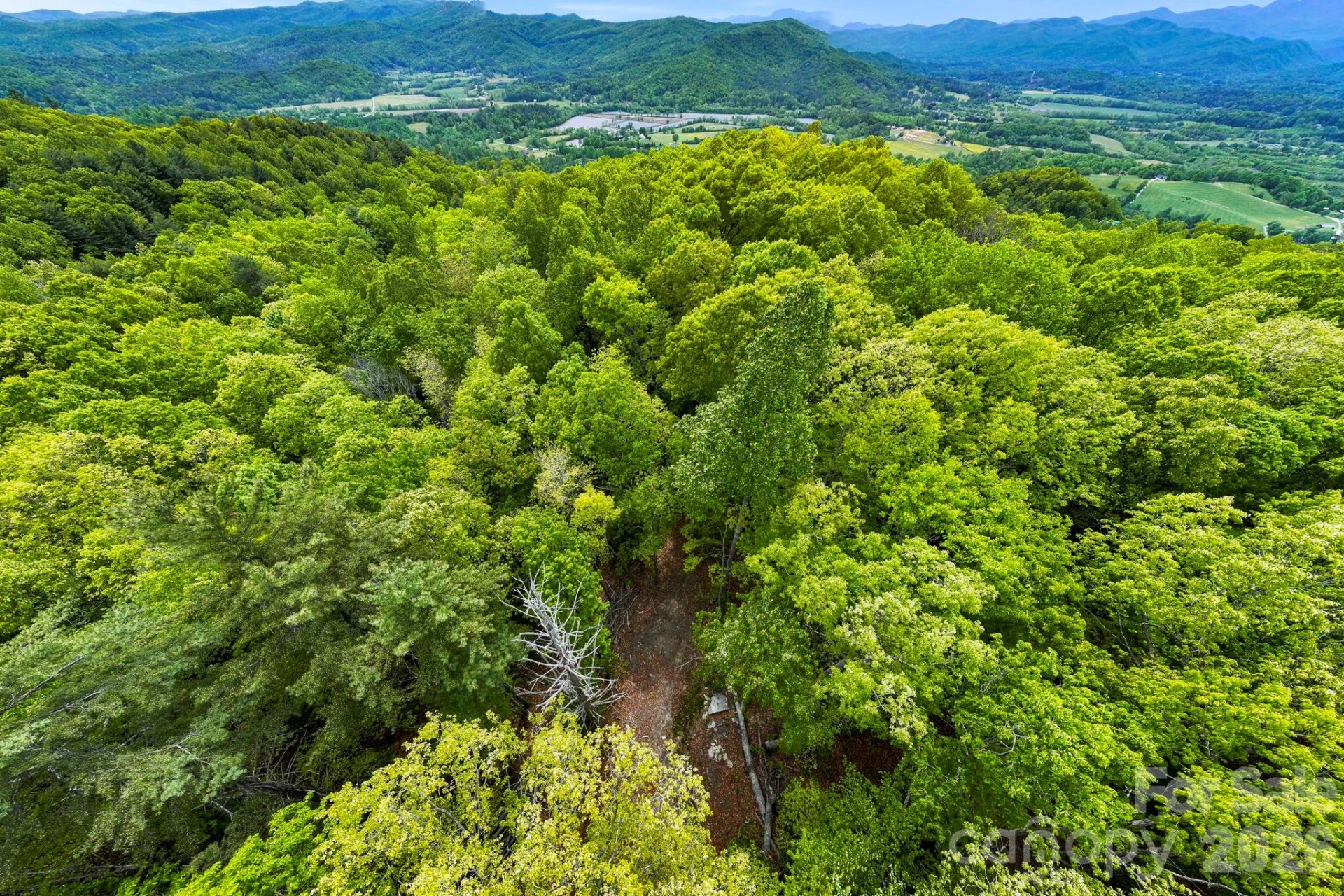 137 Bird Song Road #3 - Photo 20
