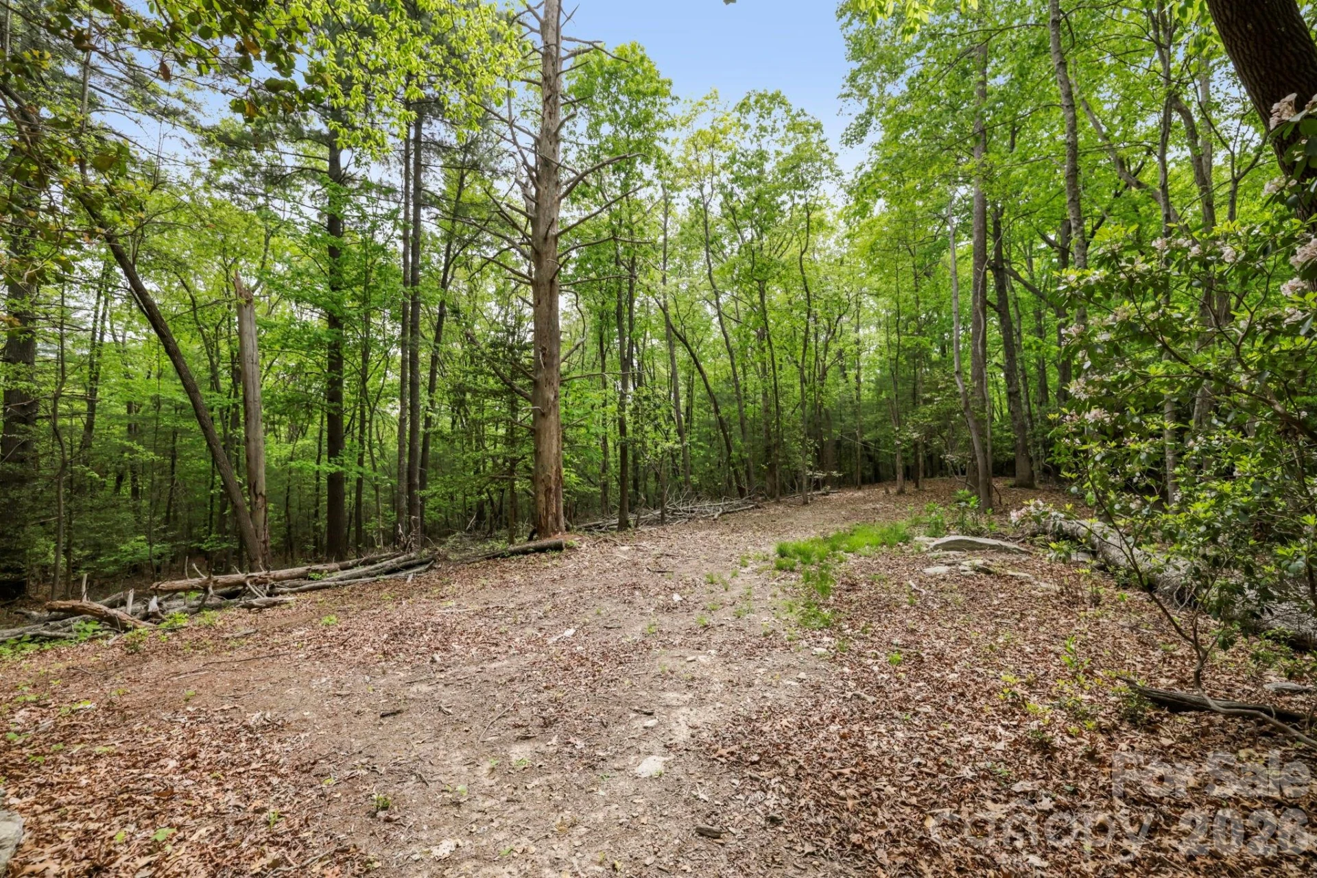 137 Bird Song Road #3 - Photo 23