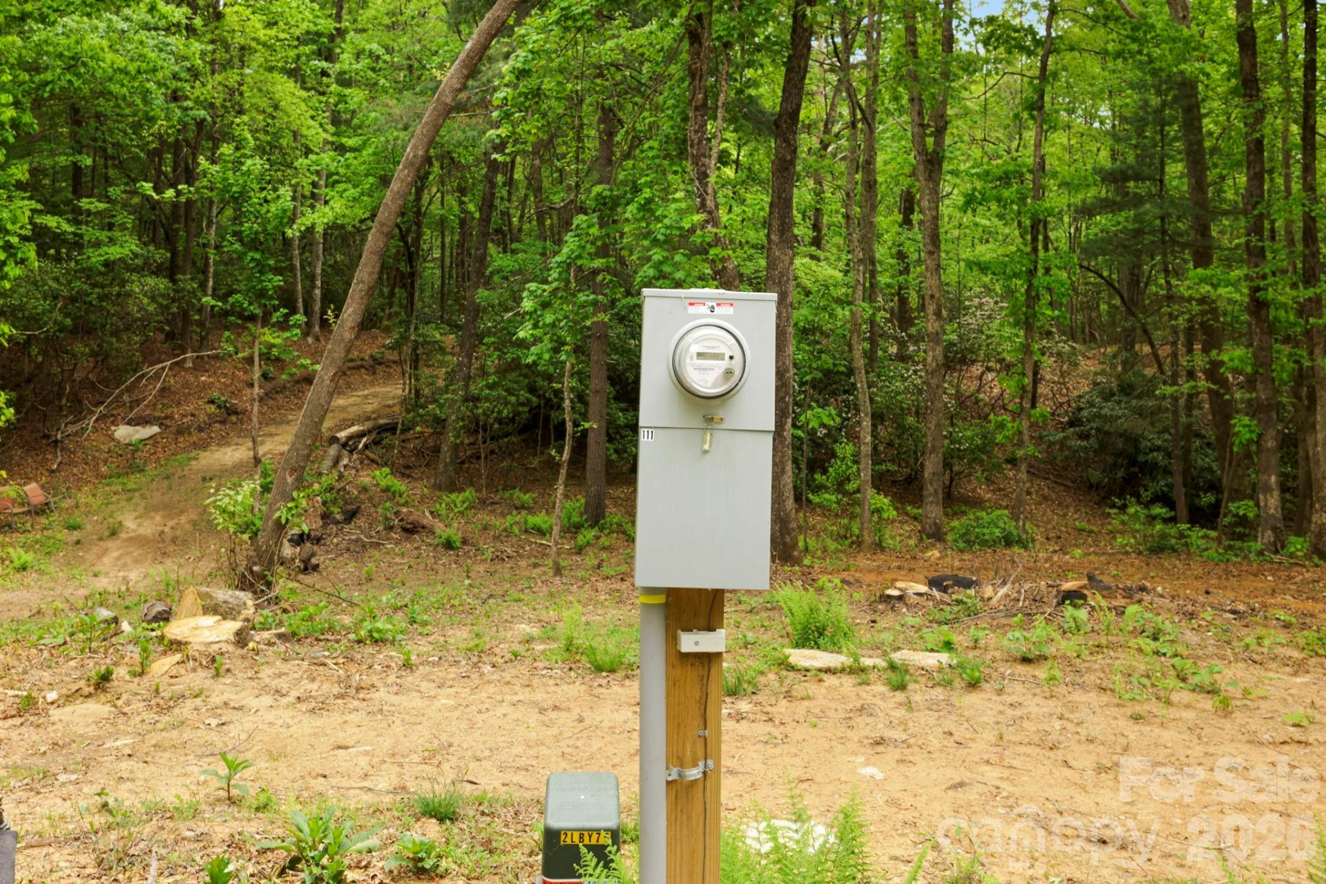 137 Bird Song Road #3 - Photo 7