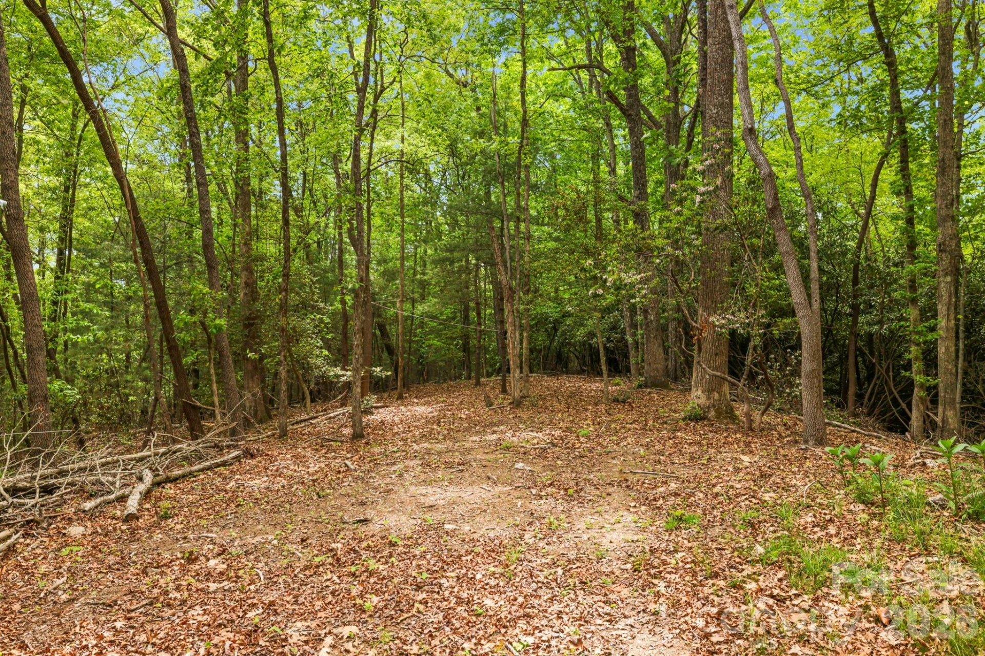 137 Bird Song Road #3 - Photo 10