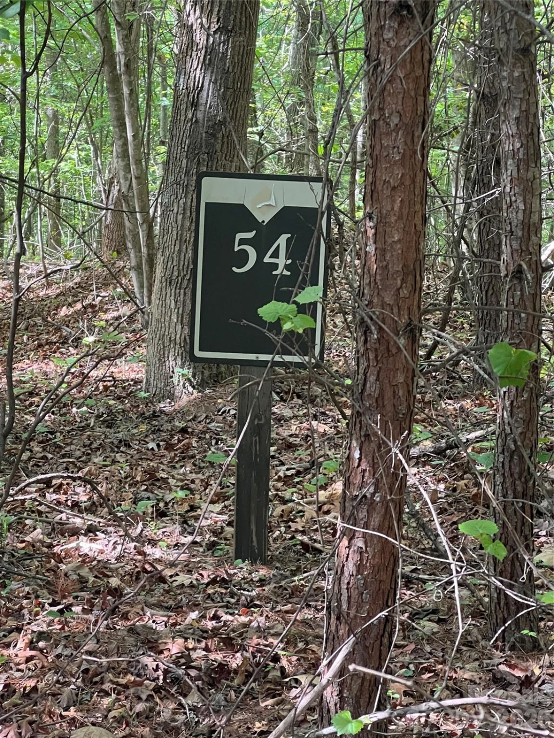 54 Perennial Drive #54 - Photo 11