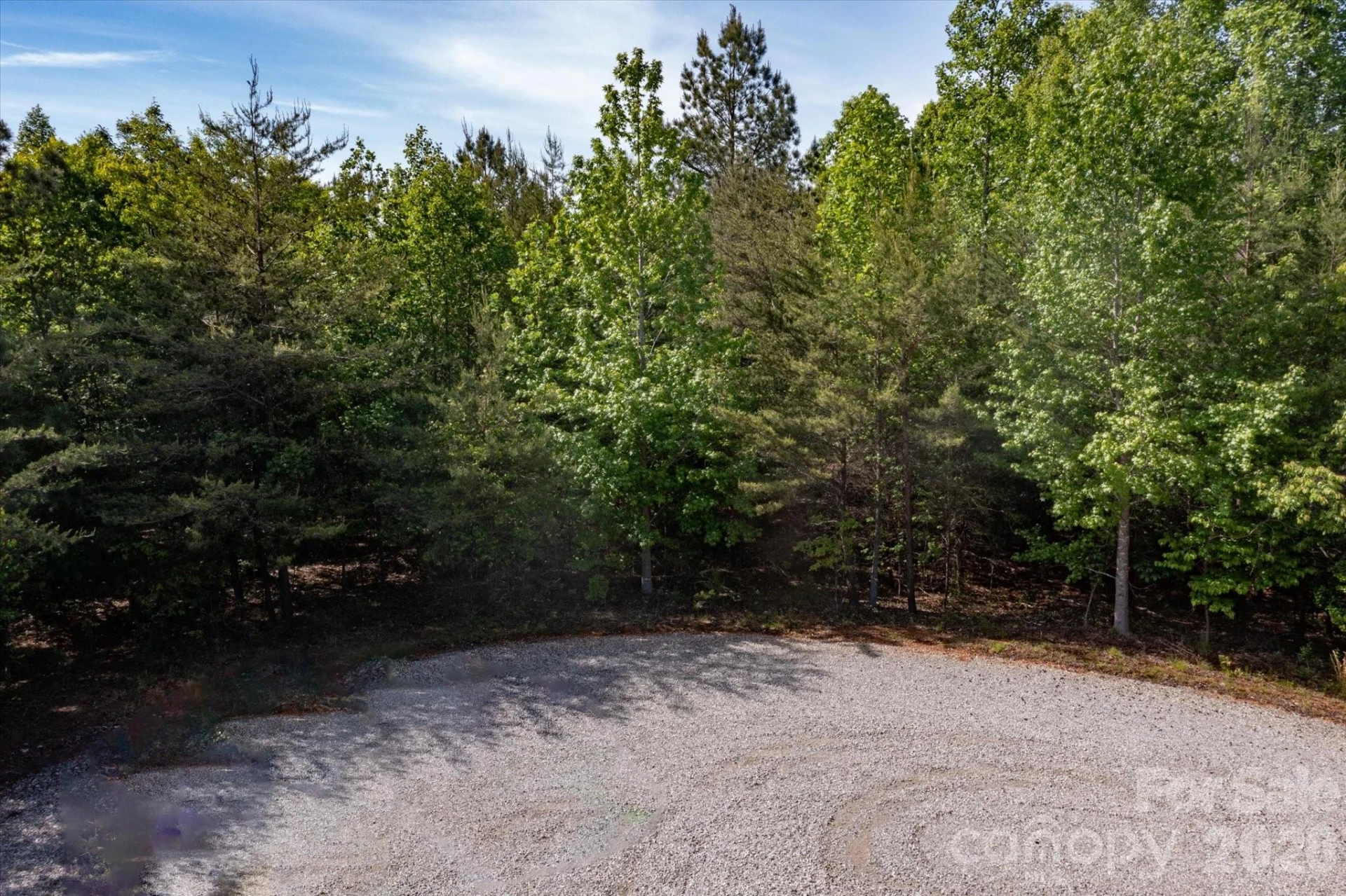 54 Perennial Drive #54 - Photo 6