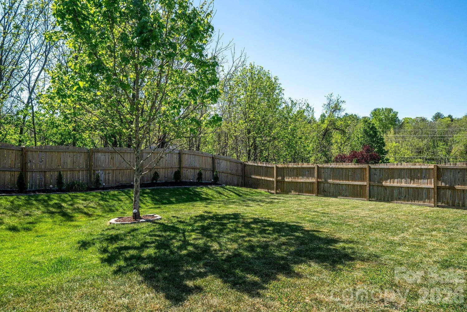 9 Partridge Berry Lane - Photo 23
