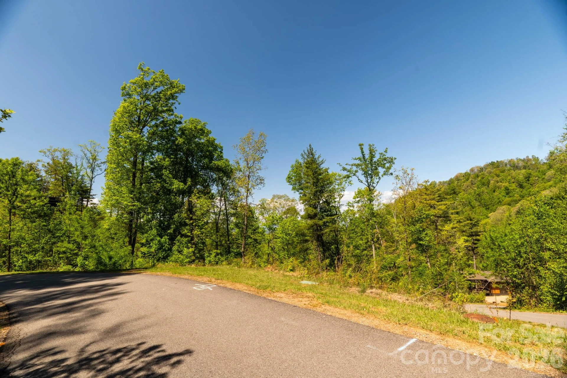 33 Bent Branch Lane - Photo 13