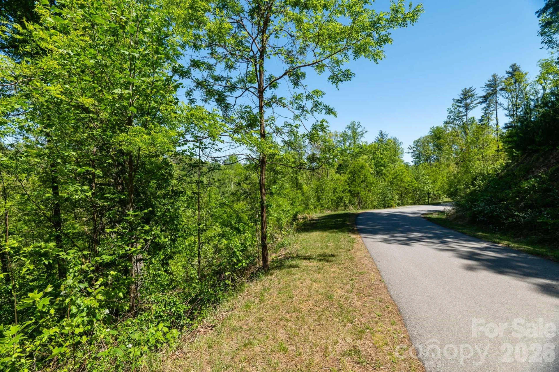 33 Bent Branch Lane - Photo 14