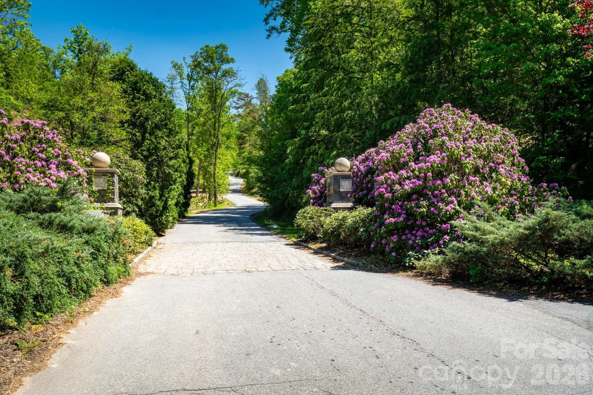 33 Bent Branch Lane - Photo 4