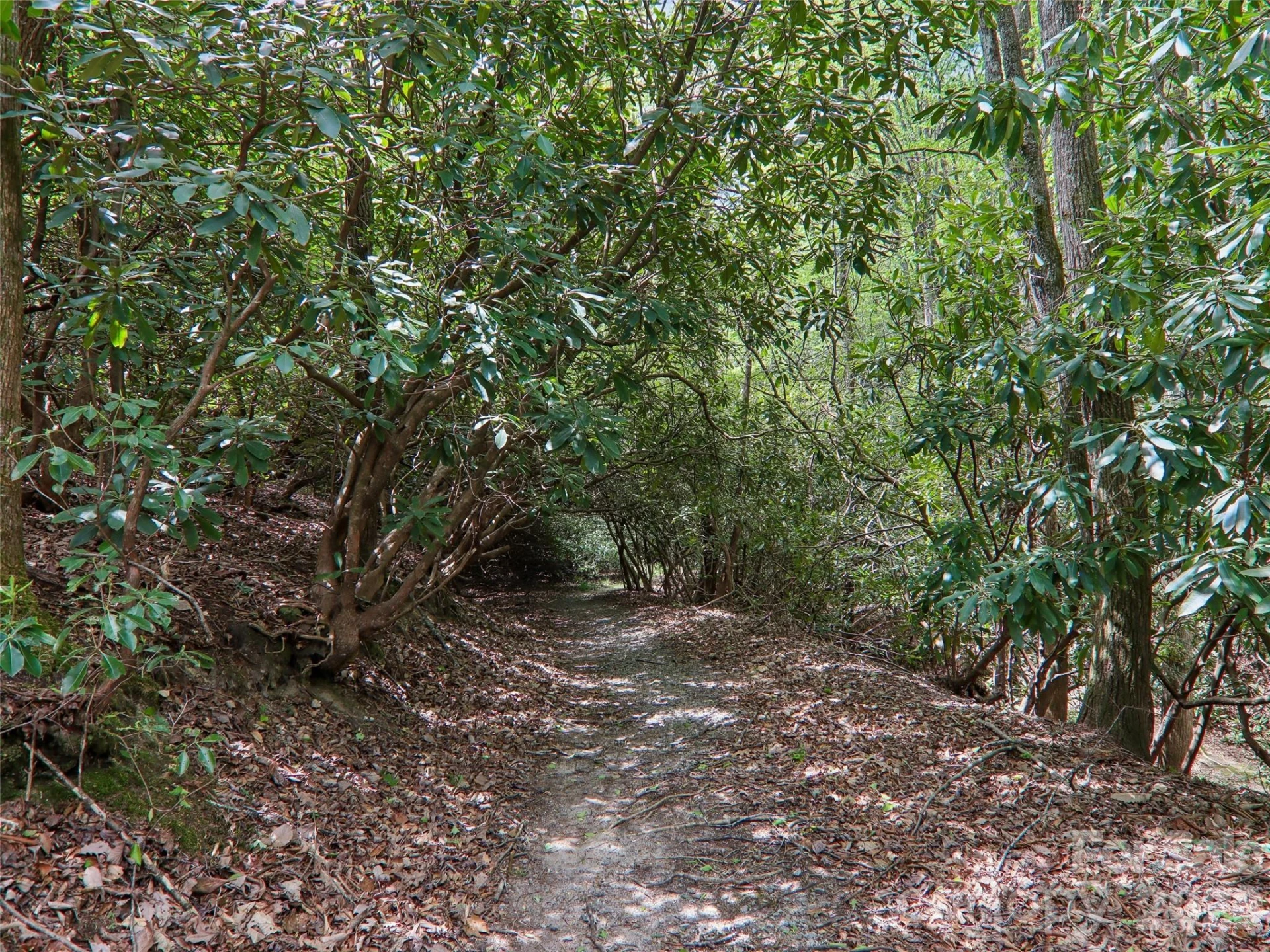 554 Pisgah Forest Drive - Photo 42