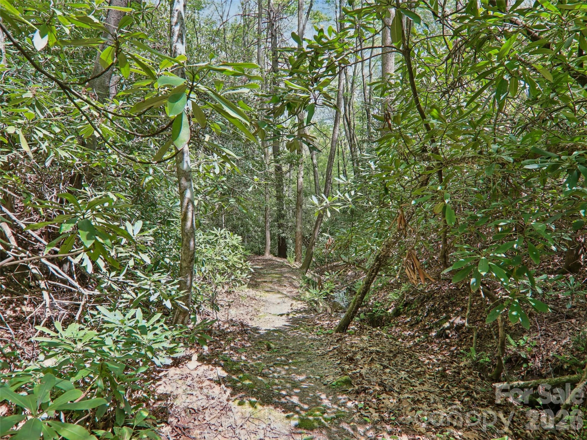 554 Pisgah Forest Drive - Photo 44