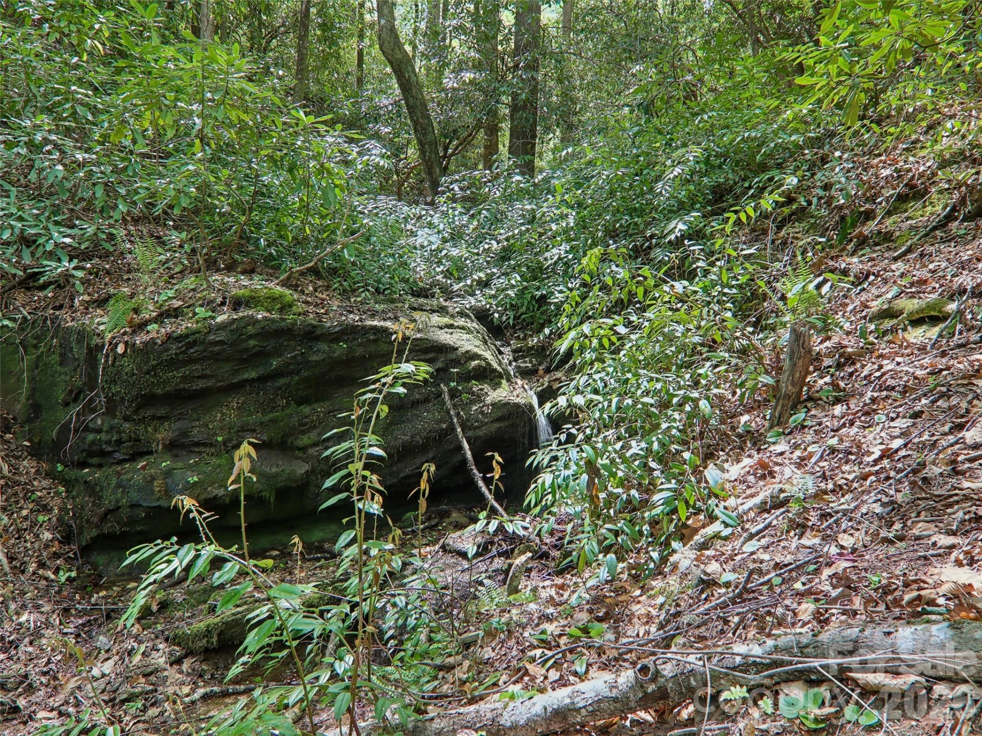 554 Pisgah Forest Drive - Photo 45