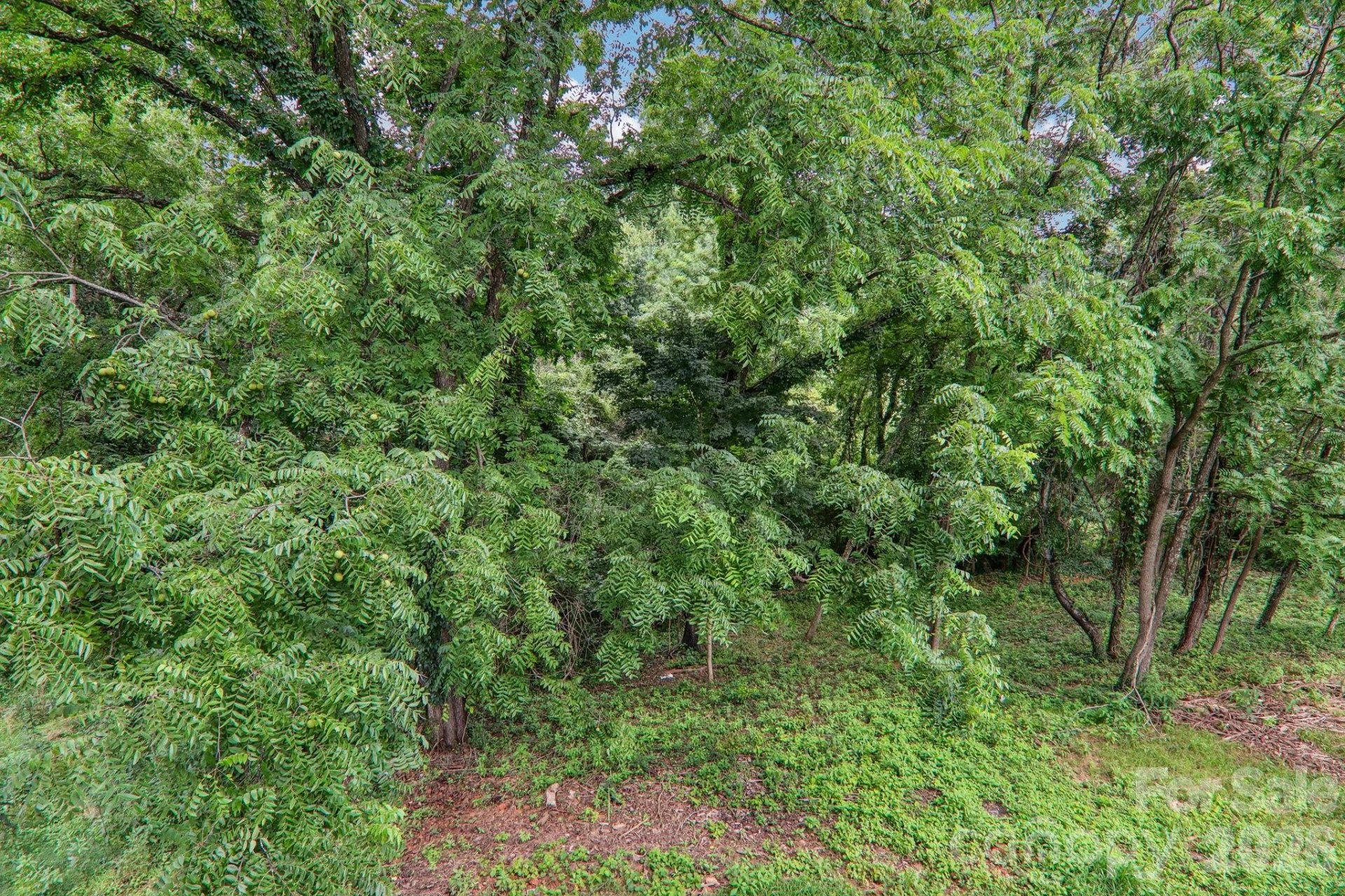 140 N Main Street - Photo 31