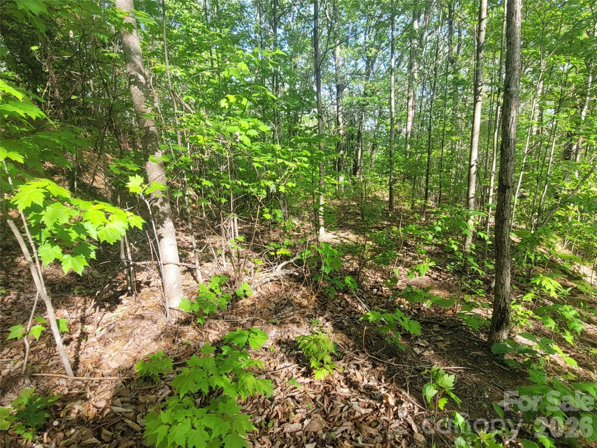 99999 Wolverine Court #53 - Photo 5