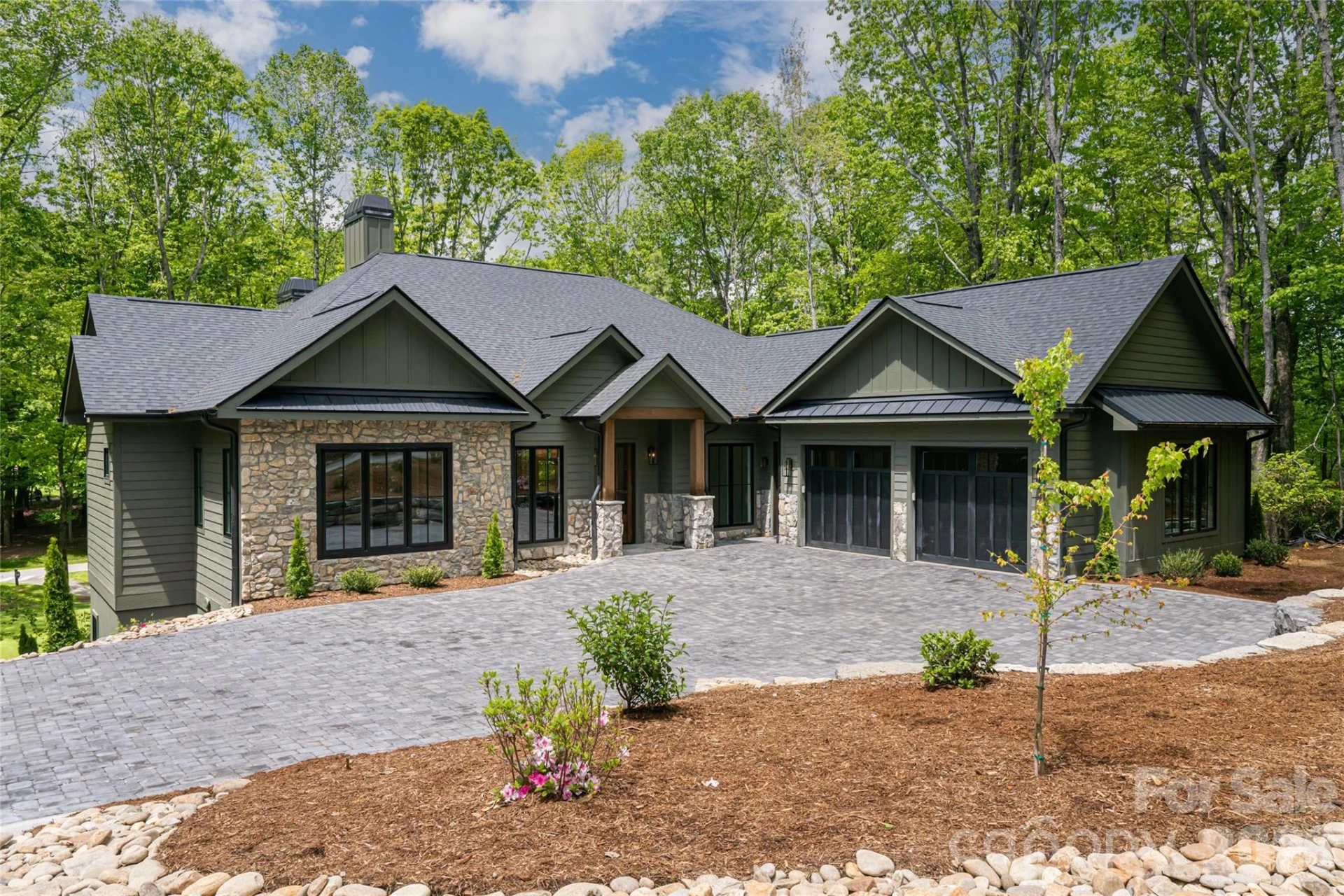 99 Little Cherokee Ridge - Photo 6