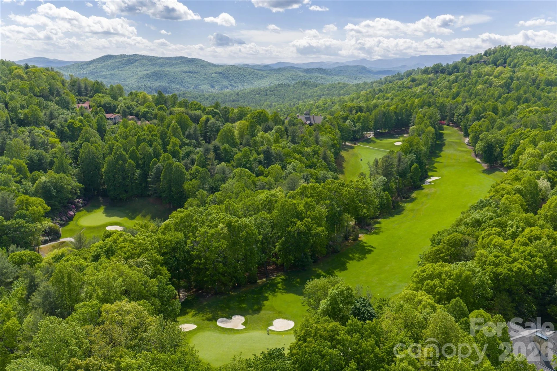 99 Little Cherokee Ridge - Photo 46
