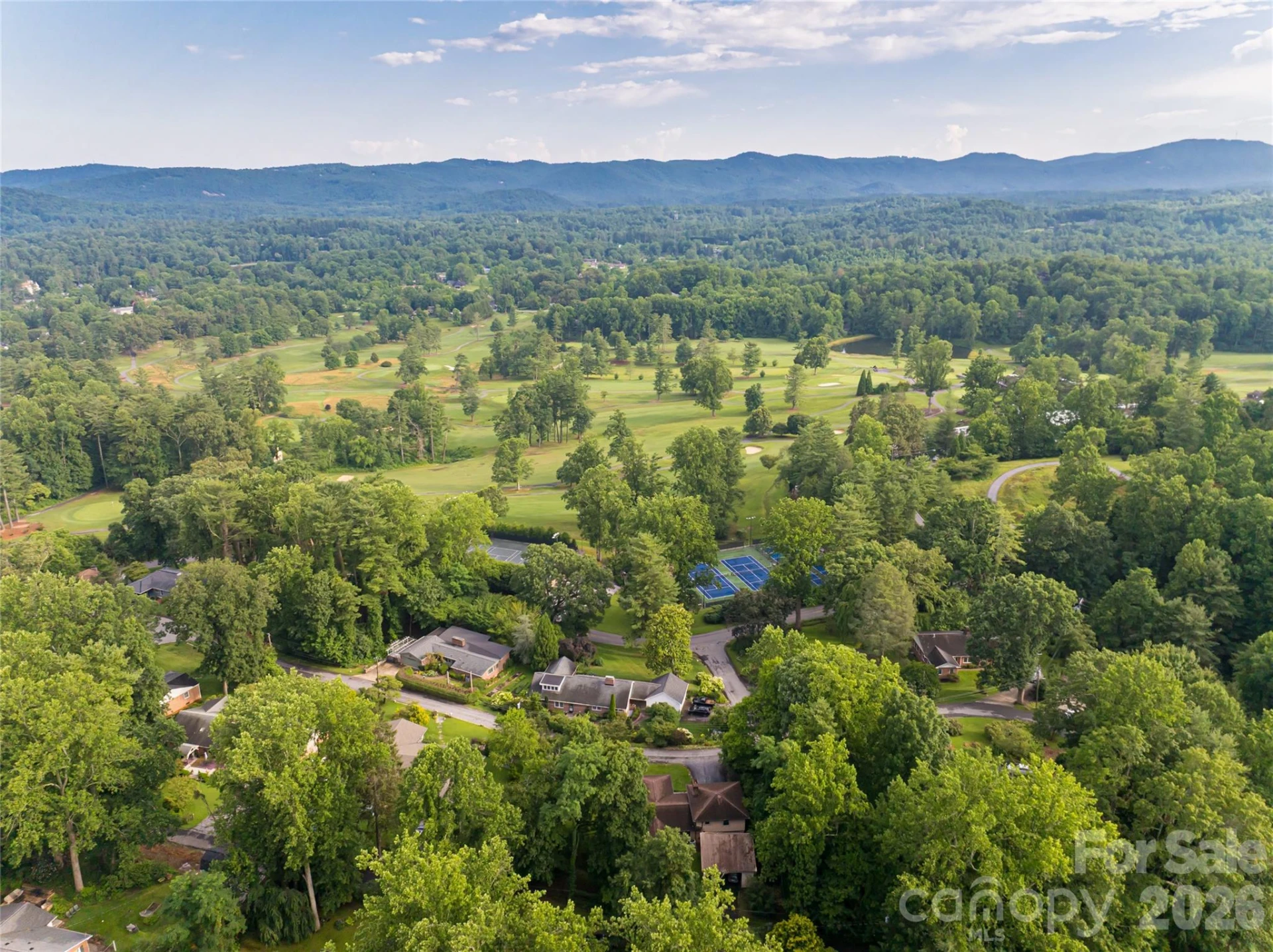 300 White Pine Drive - Photo 47