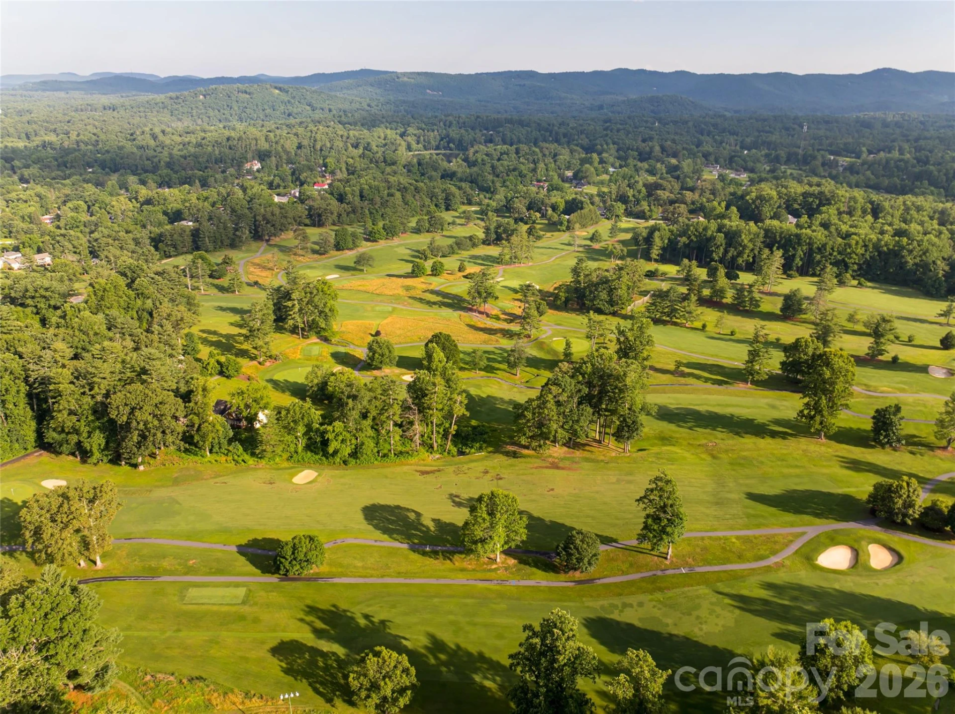 300 White Pine Drive - Photo 48
