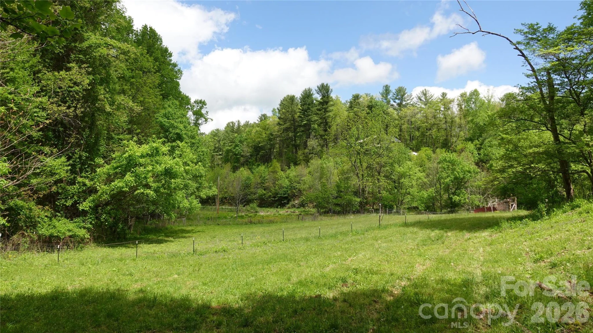 3151 Lumptown Road - Photo 48