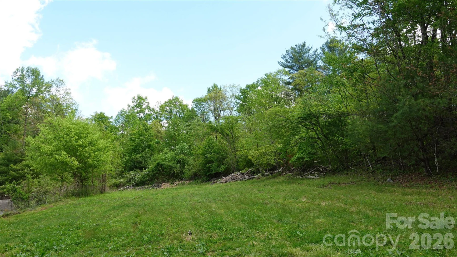 3151 Lumptown Road - Photo 49