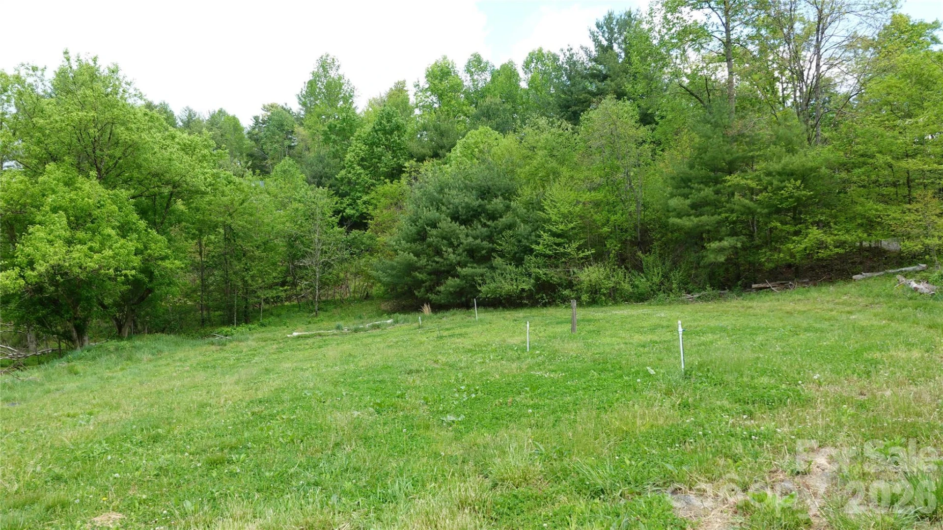 3151 Lumptown Road - Photo 50