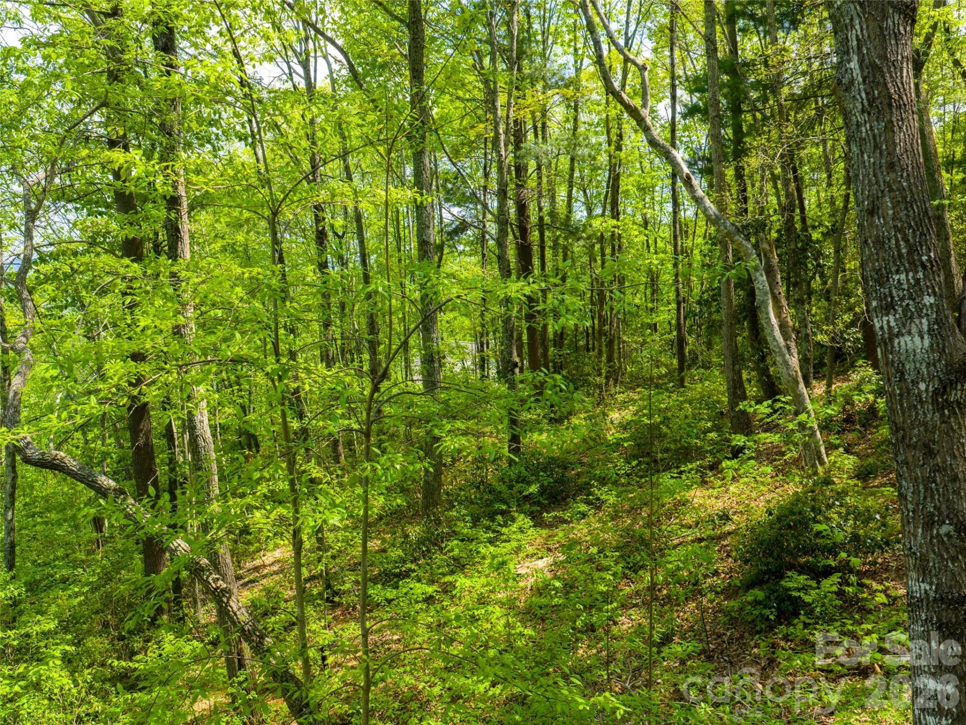 490 Barrington Drive #121 - Photo 11