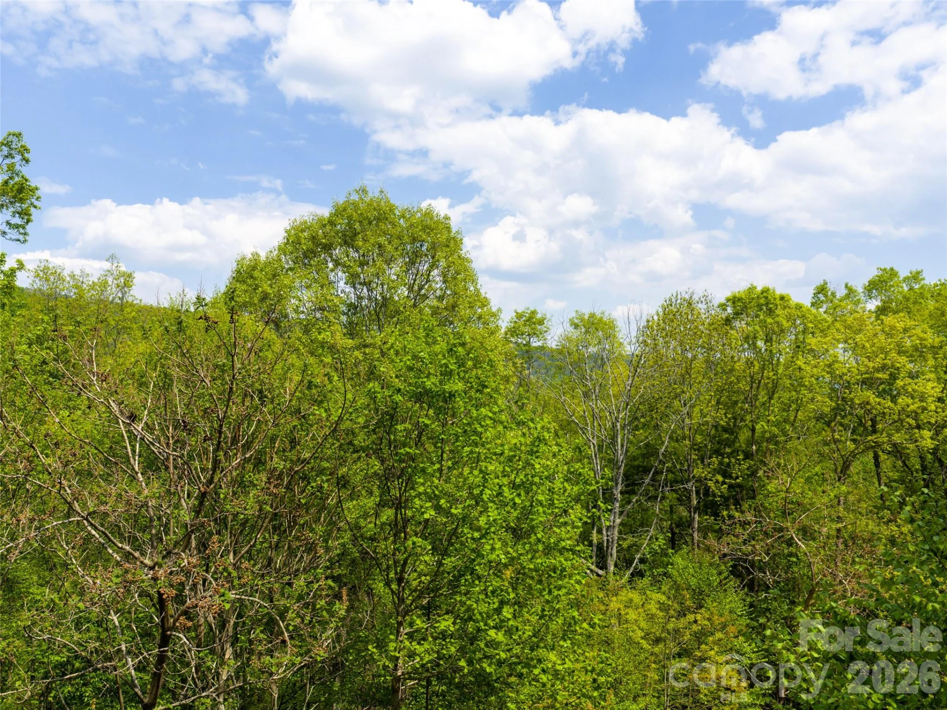 490 Barrington Drive #121 - Photo 5