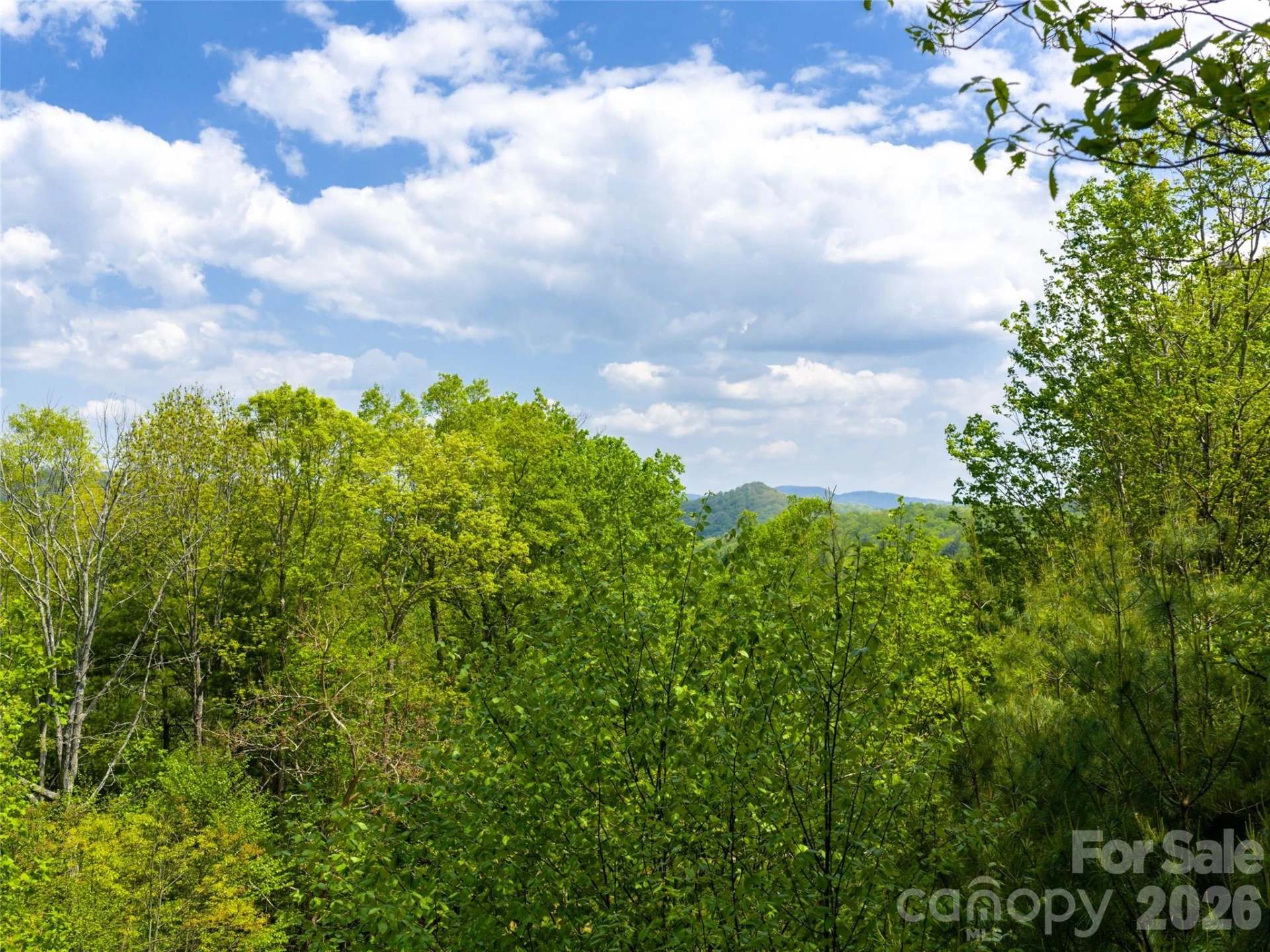 490 Barrington Drive #121 - Photo 6