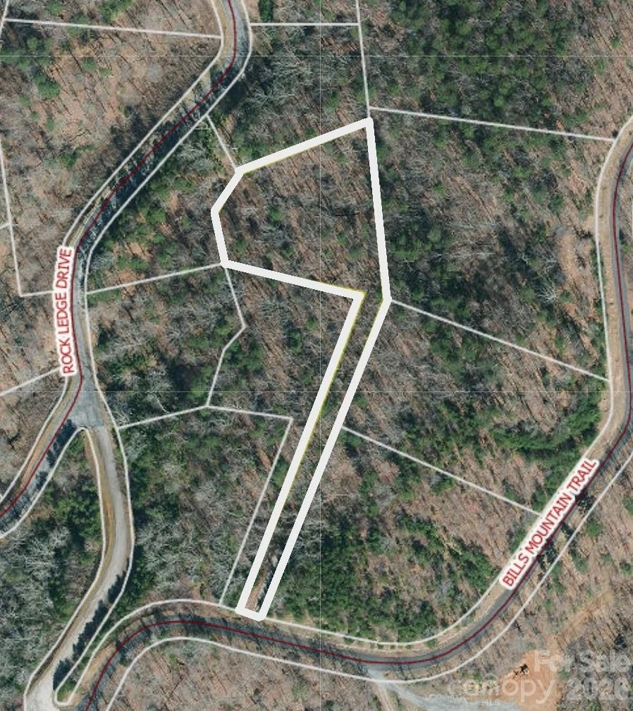 Lot 272 Bills Mountain Trail #272 - Photo 3