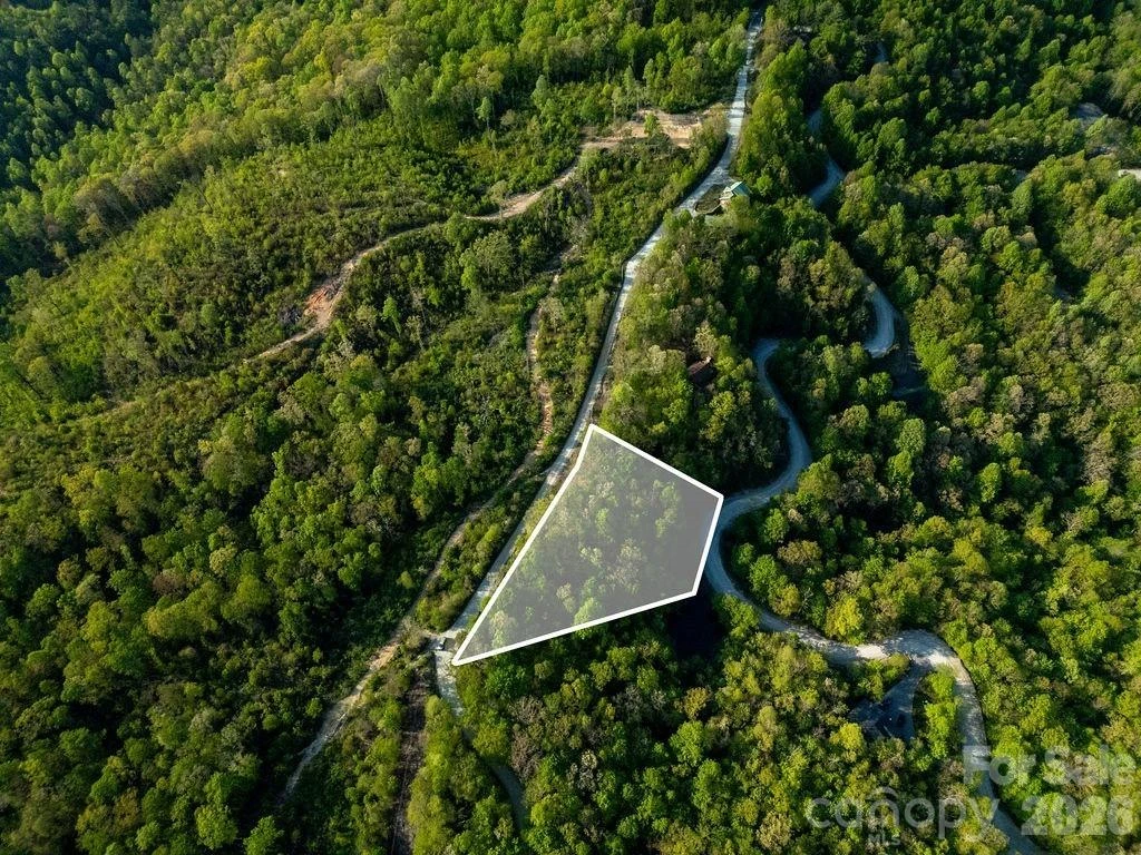 lot 27 Eastatoe Gap Road #27 - Photo 2