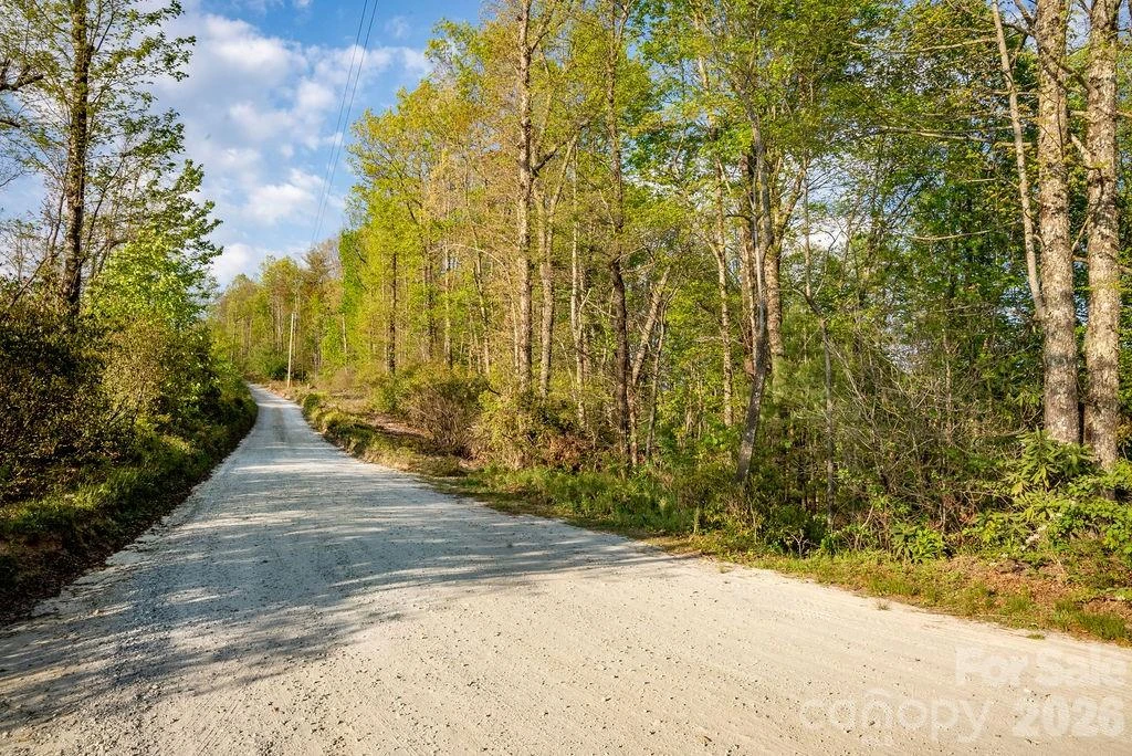 lot 27 Eastatoe Gap Road #27 - Photo 12