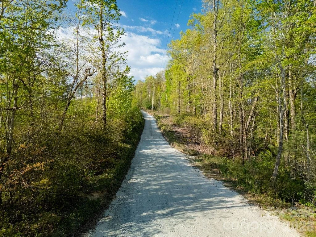 lot 27 Eastatoe Gap Road #27 - Photo 13