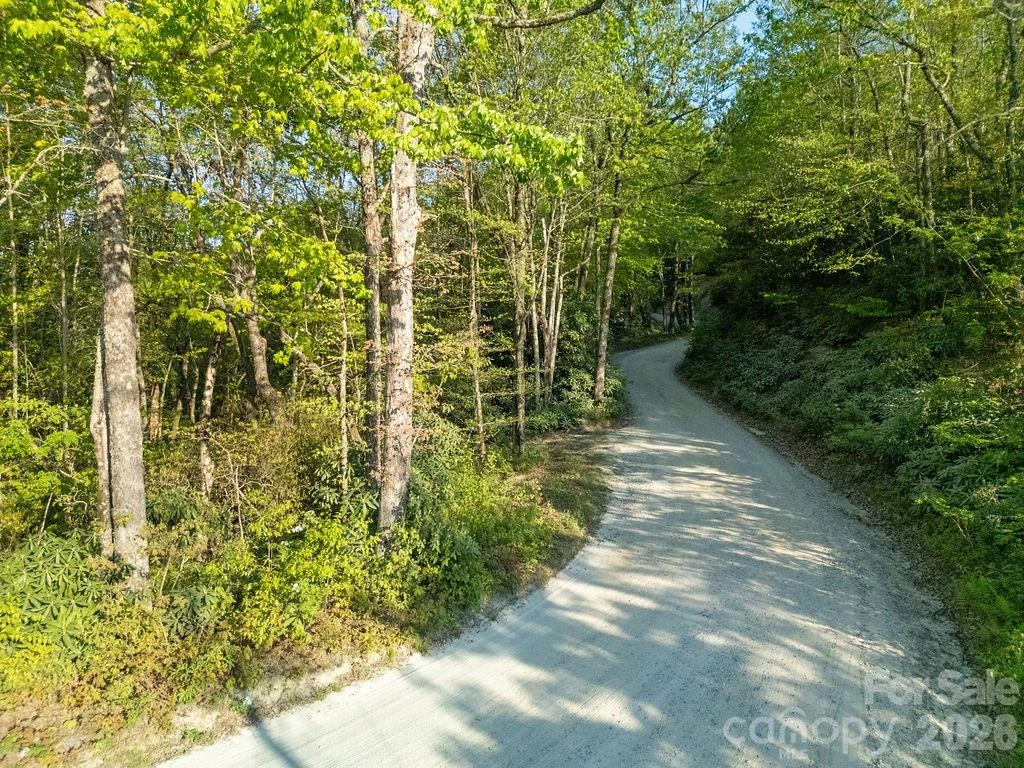 lot 27 Eastatoe Gap Road #27 - Photo 3