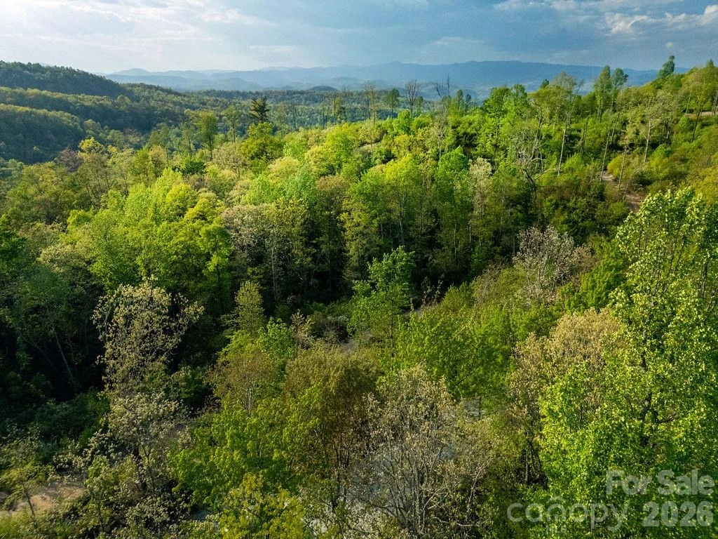 lot 27 Eastatoe Gap Road #27 - Photo 4