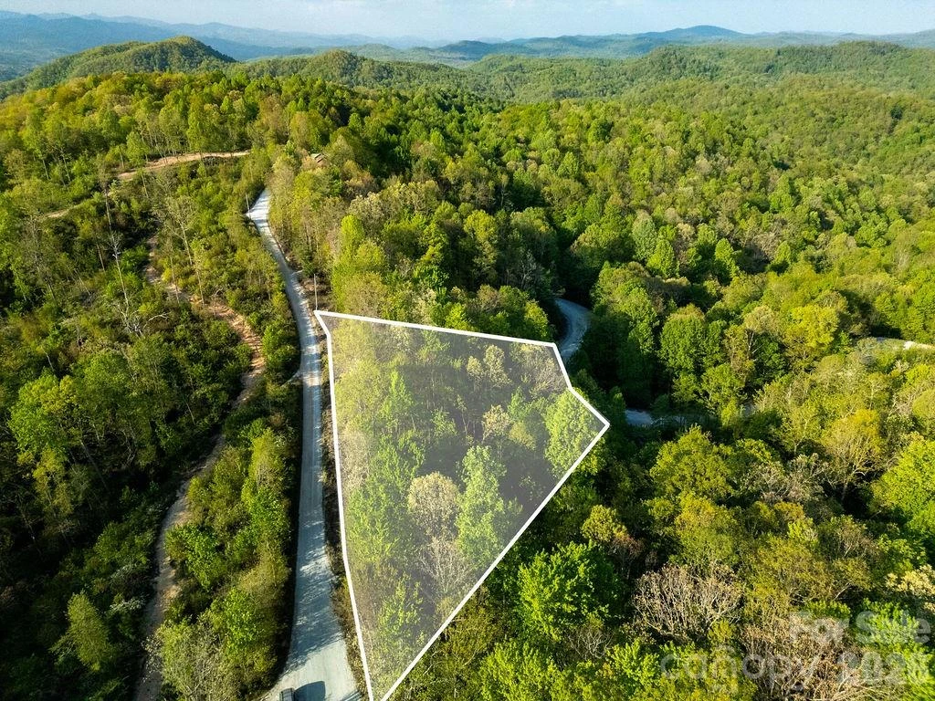 lot 27 Eastatoe Gap Road #27 - Photo 5
