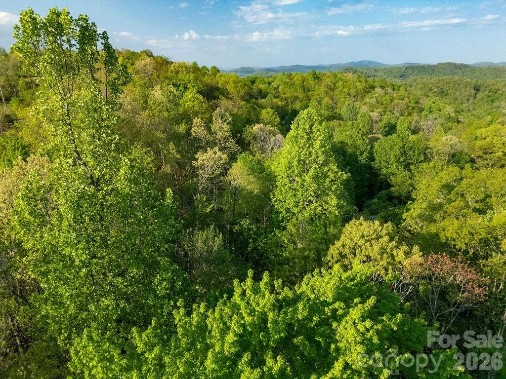 lot 27 Eastatoe Gap Road #27 - Photo 7