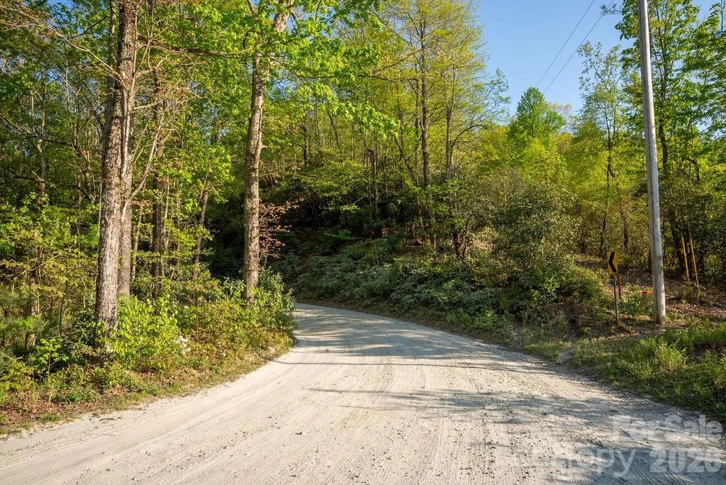 lot 27 Eastatoe Gap Road #27 - Photo 8