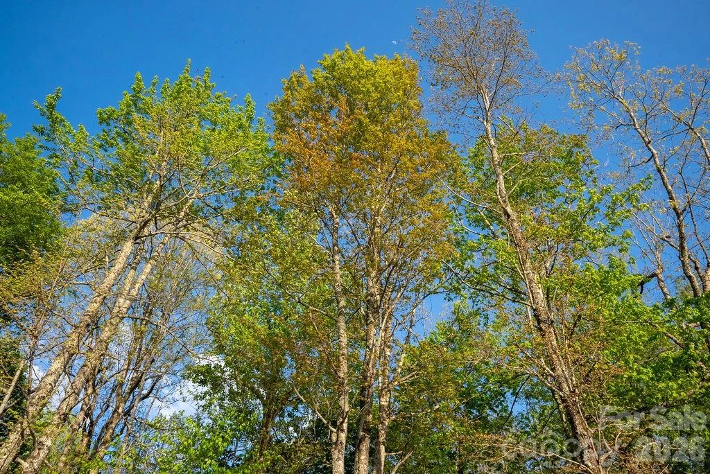 lot 27 Eastatoe Gap Road #27 - Photo 9