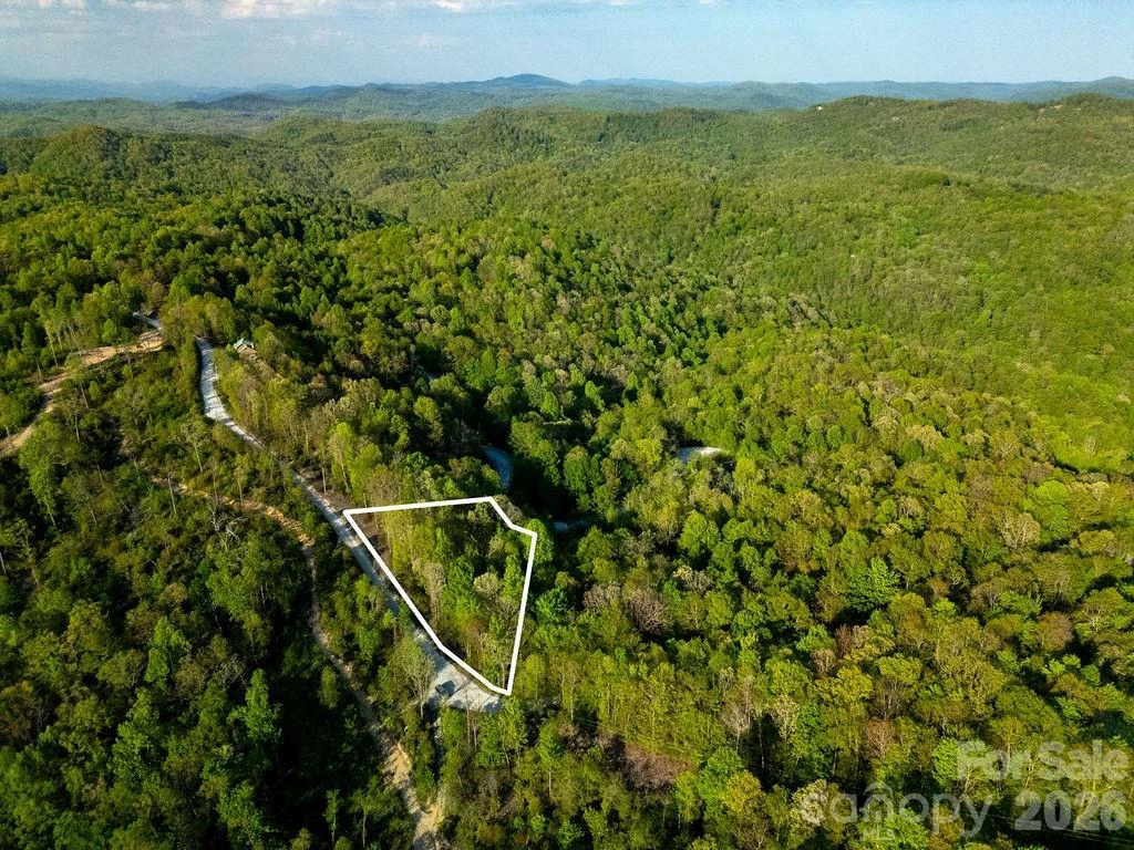 lot 27 Eastatoe Gap Road #27 - Photo 10
