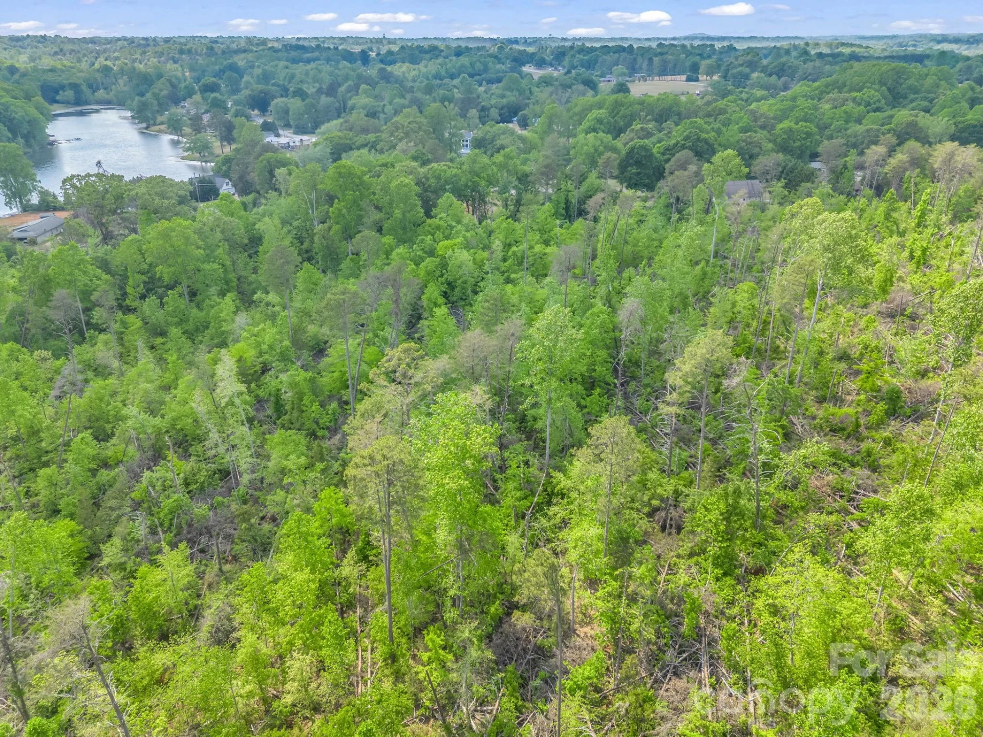 00 Smith Grove Road - Photo 14