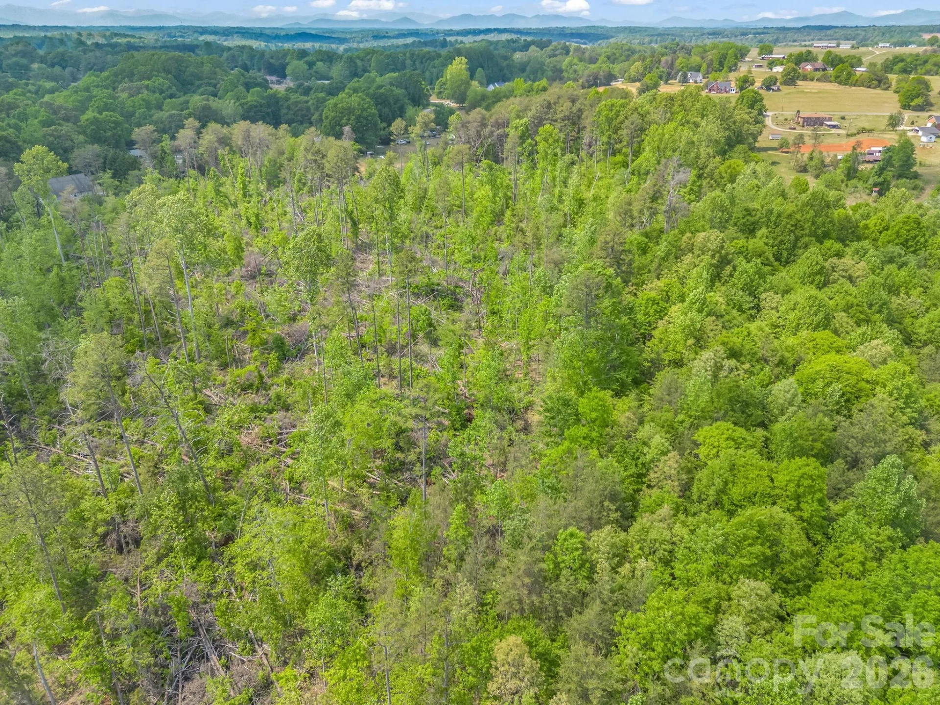 00 Smith Grove Road - Photo 15