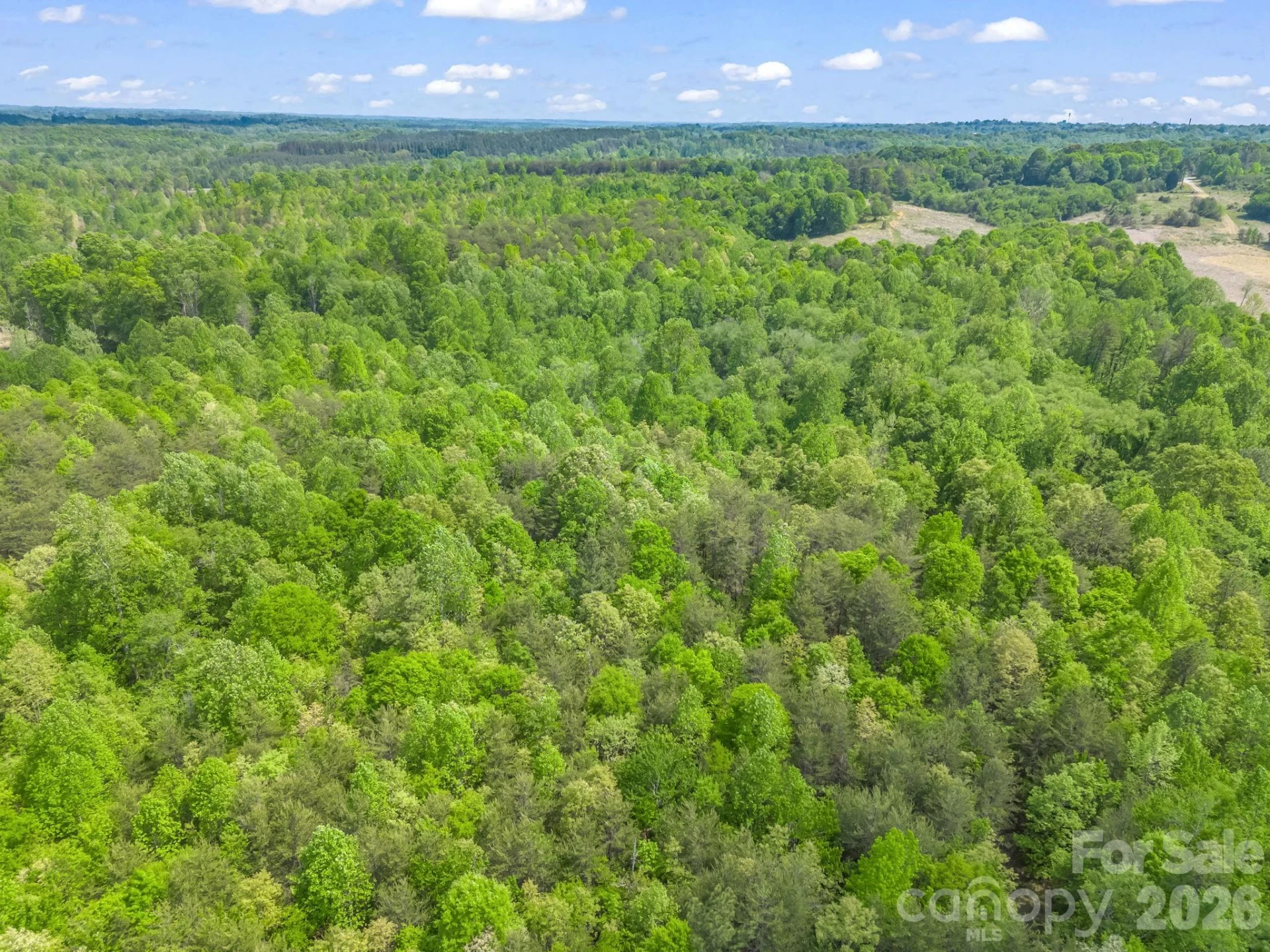 00 Smith Grove Road - Photo 16