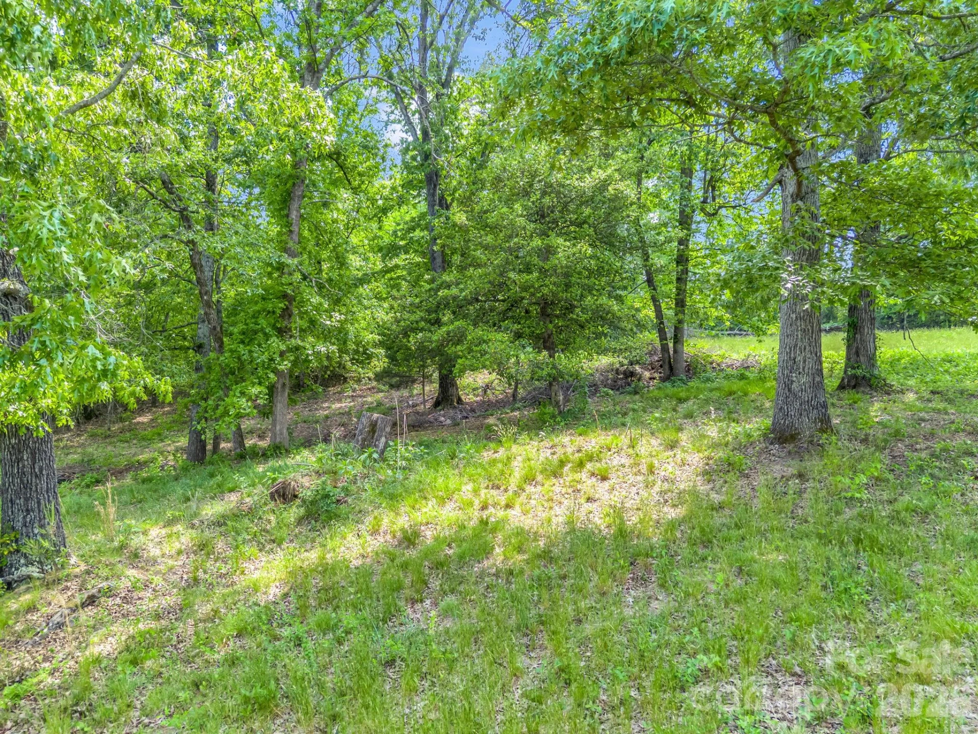 00 Smith Grove Road - Photo 6