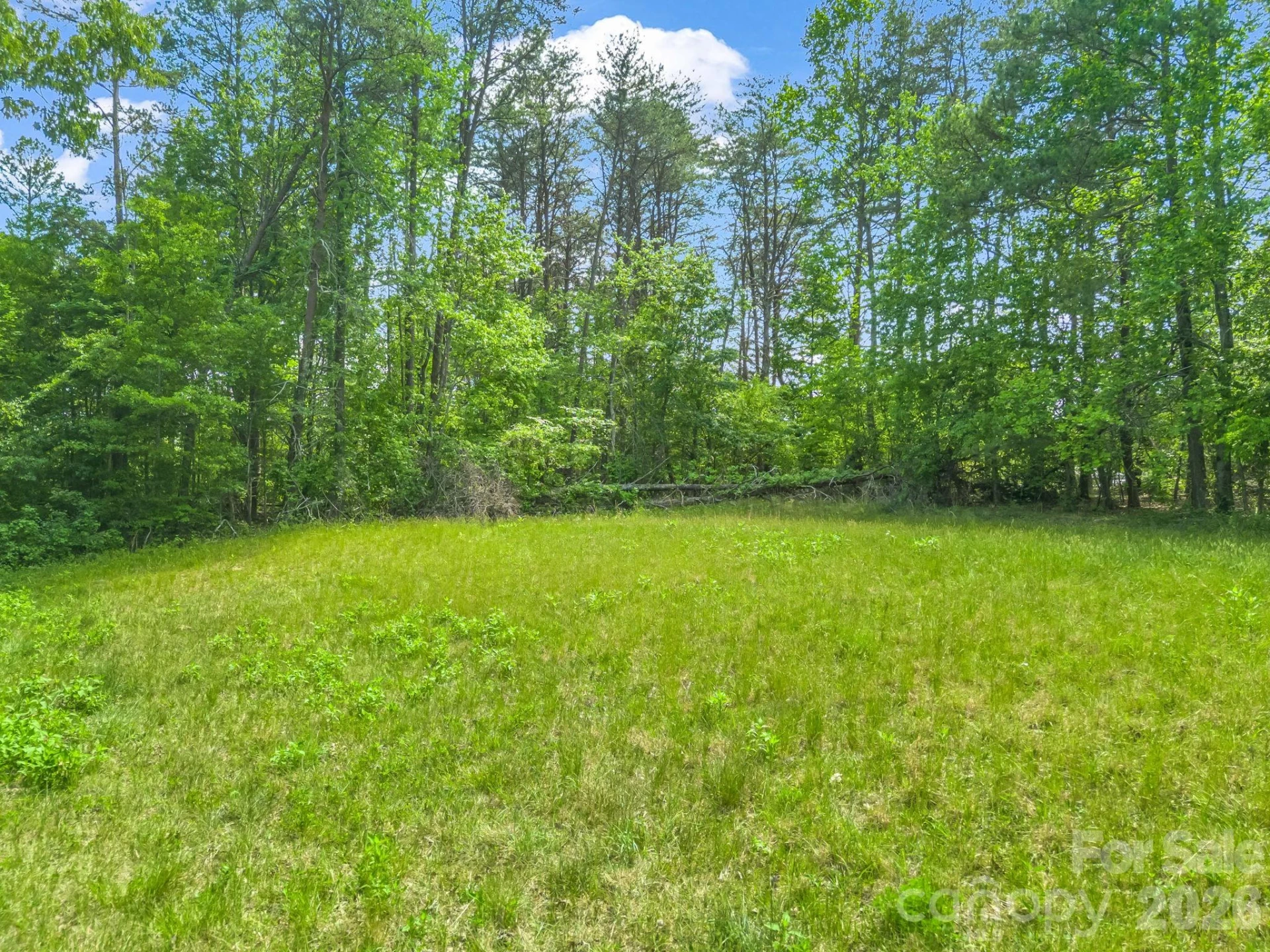 00 Smith Grove Road - Photo 7