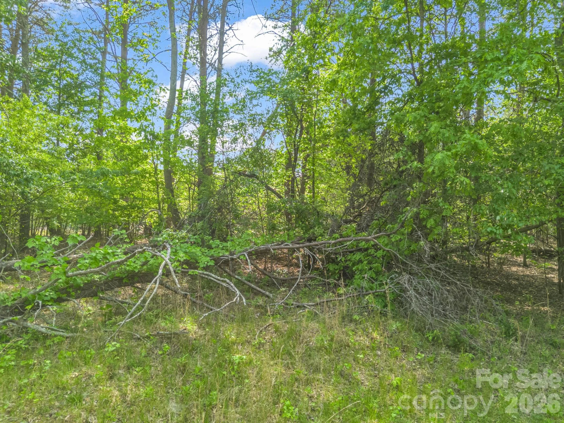 00 Smith Grove Road - Photo 9