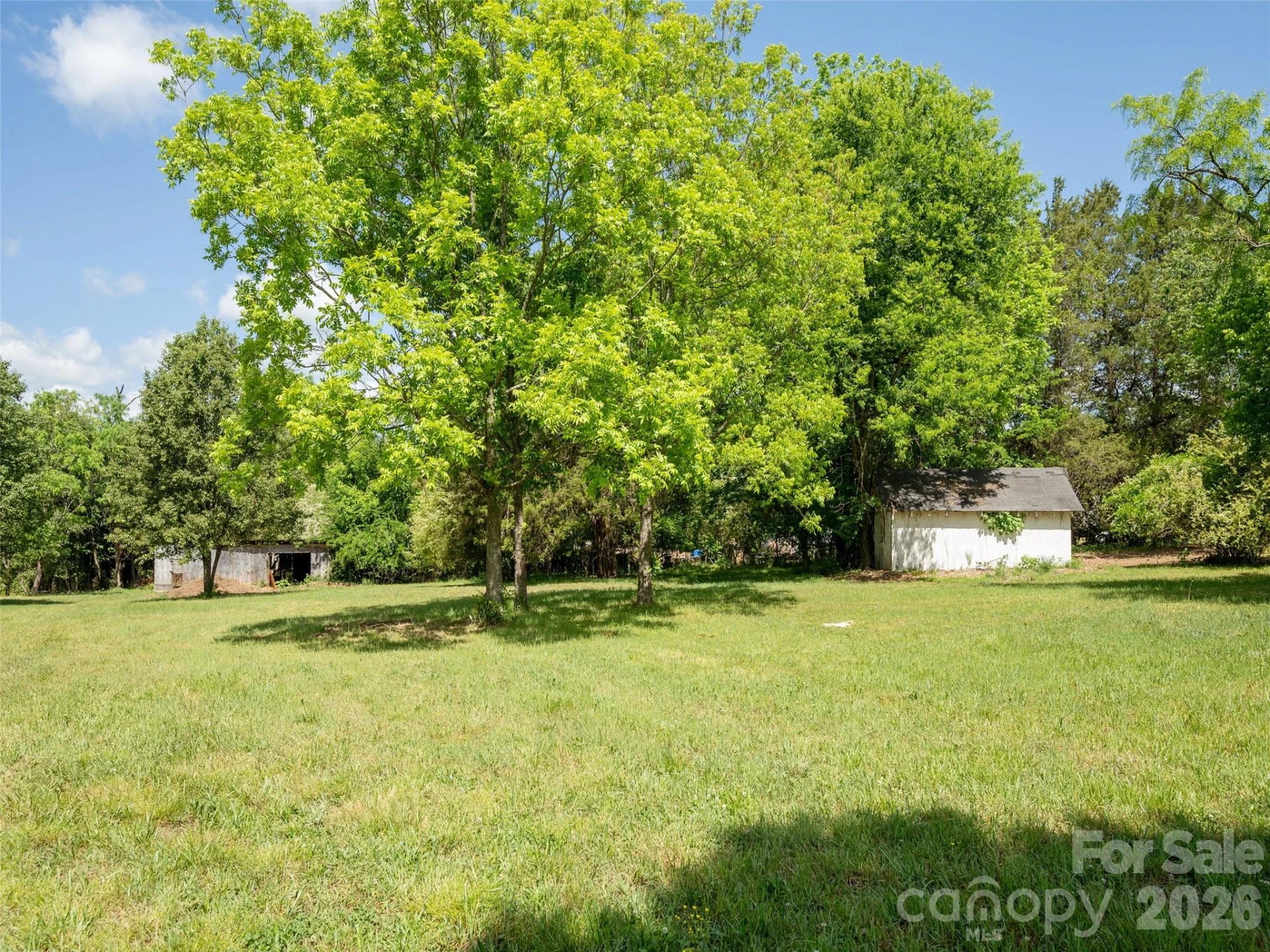0 NC 9 Highway - Photo 10
