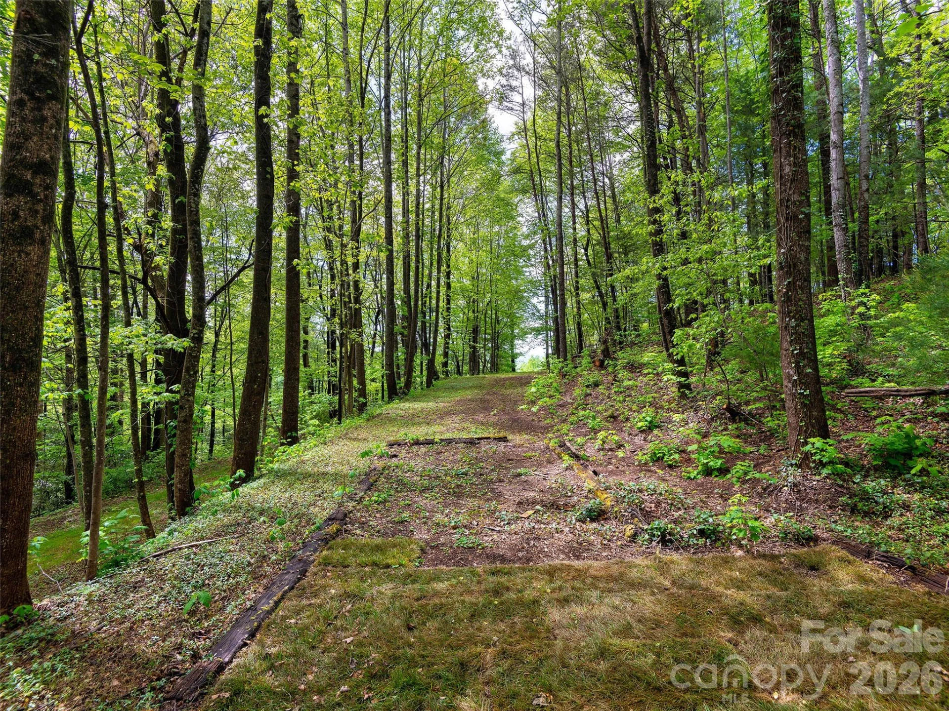 209 Ivy Hill Road - Photo 37