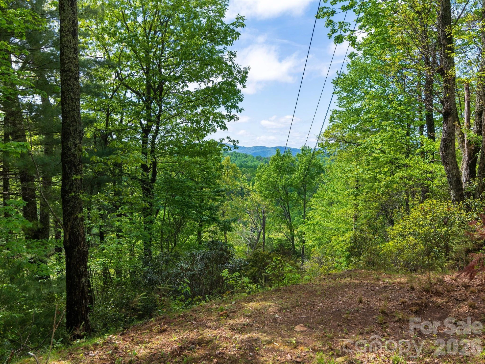 209 Ivy Hill Road - Photo 38