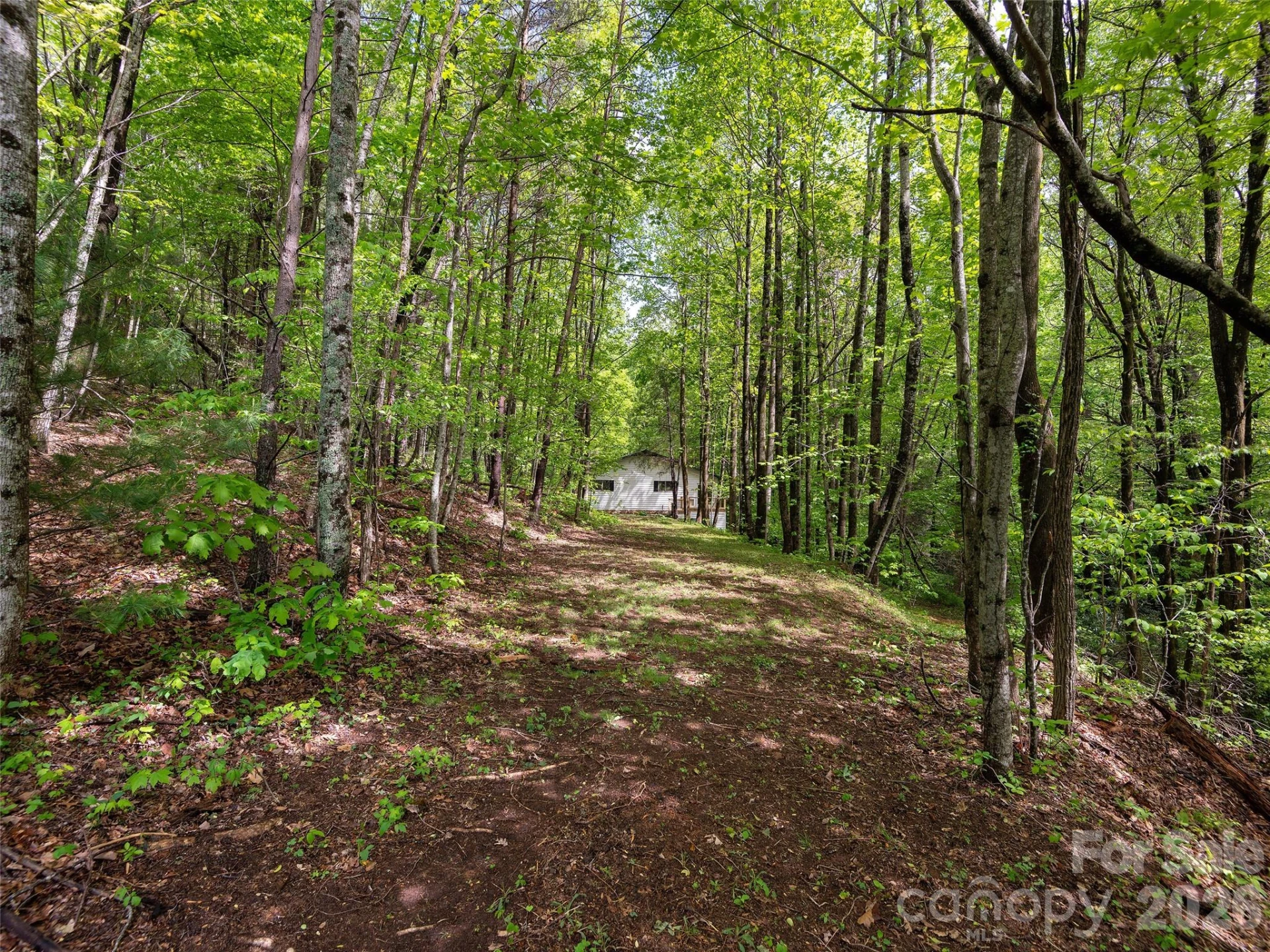 209 Ivy Hill Road - Photo 39