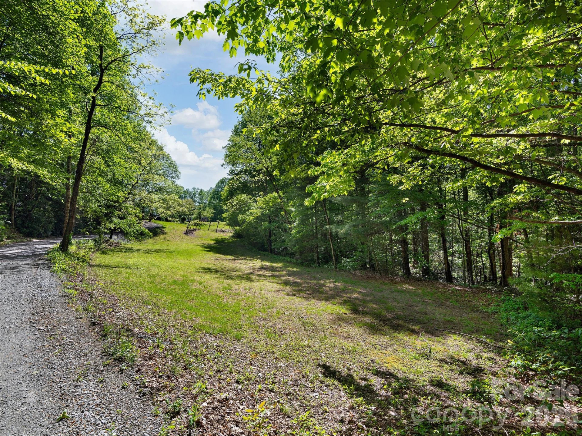 209 Ivy Hill Road - Photo 40