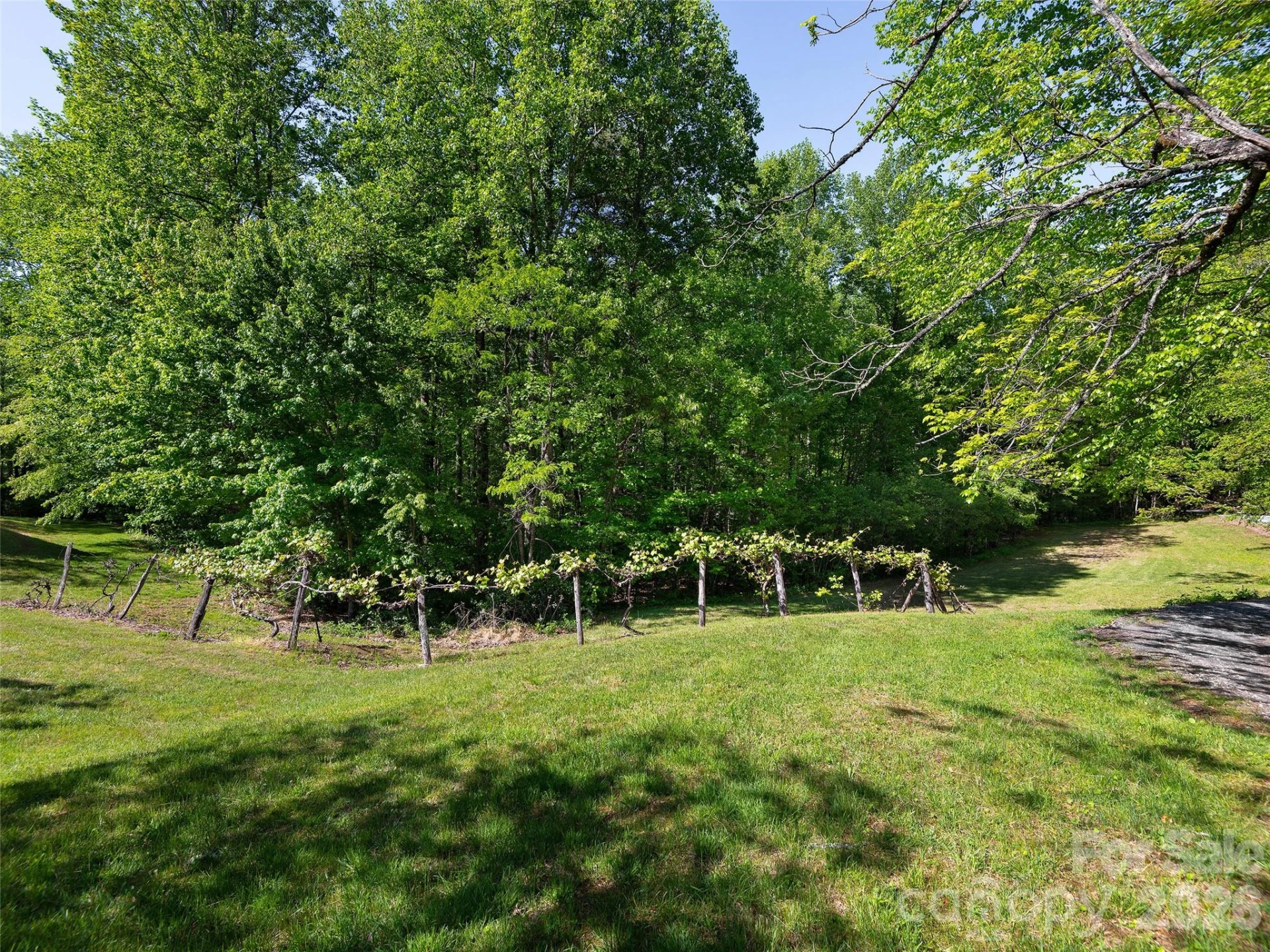 209 Ivy Hill Road - Photo 41