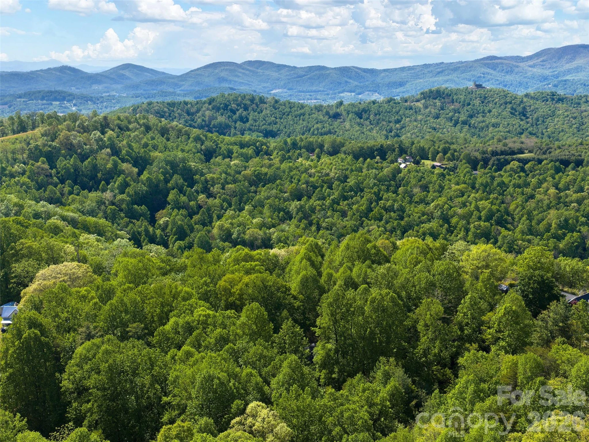 209 Ivy Hill Road - Photo 43