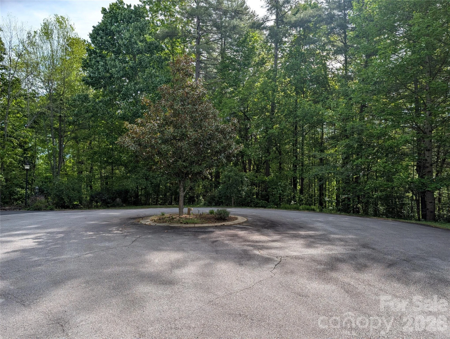 00 Hosta Lane - Photo 9